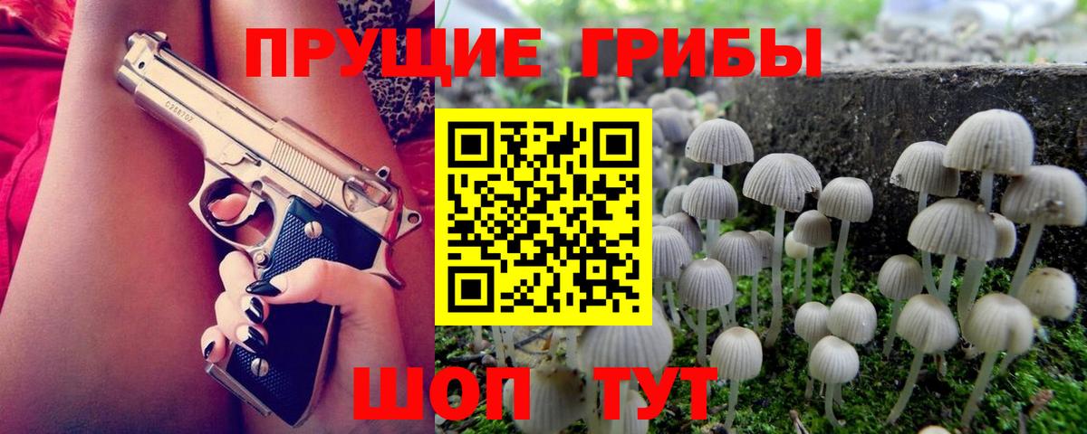 Псилоцибиновые грибы мицелий  Псилоцибиновые грибы ЛСД  Обнинск  Вход с VPN 